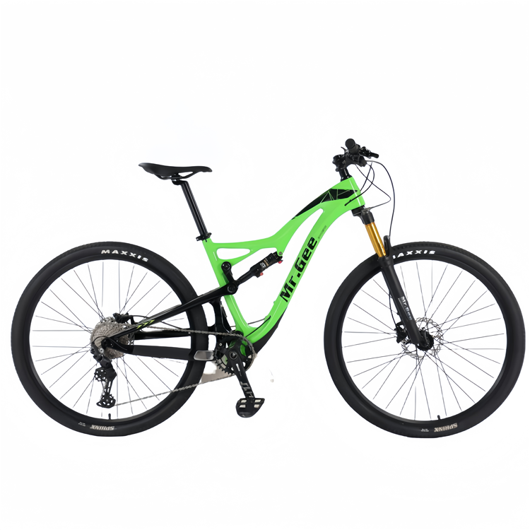Philippines Cycling Gear - Bici in fibra di carbonio 29