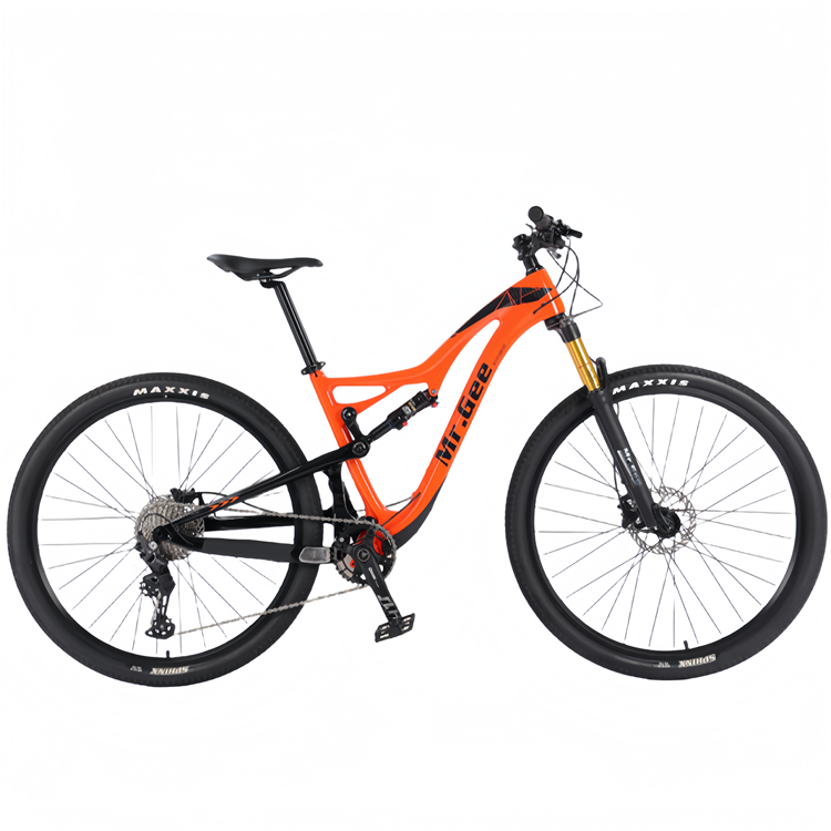 Bici in fibra di carbonio 29 p - Philippines Cycling Gear recensione e prezzo