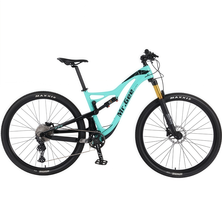 Bici in fibra di carbonio 29 p - Philippines Cycling Gear recensione e prezzo